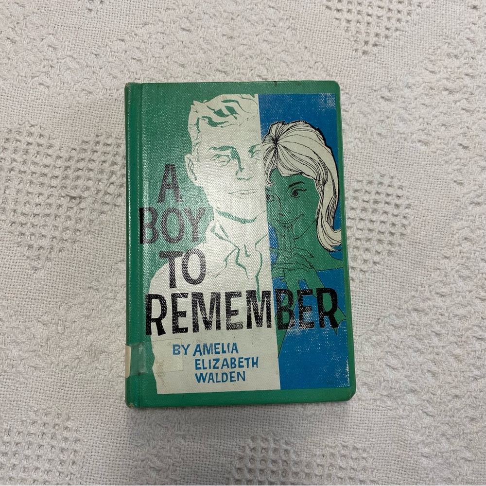 A Boy To Remember By Amelia Elizabeth Walden